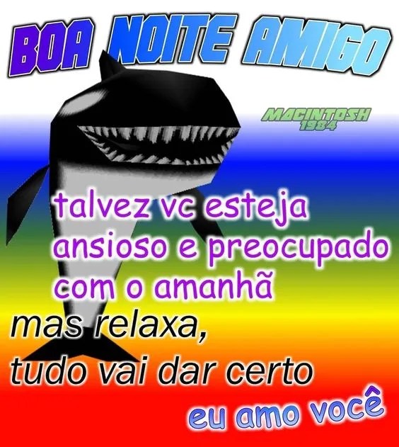 Boa noite amigo amo você