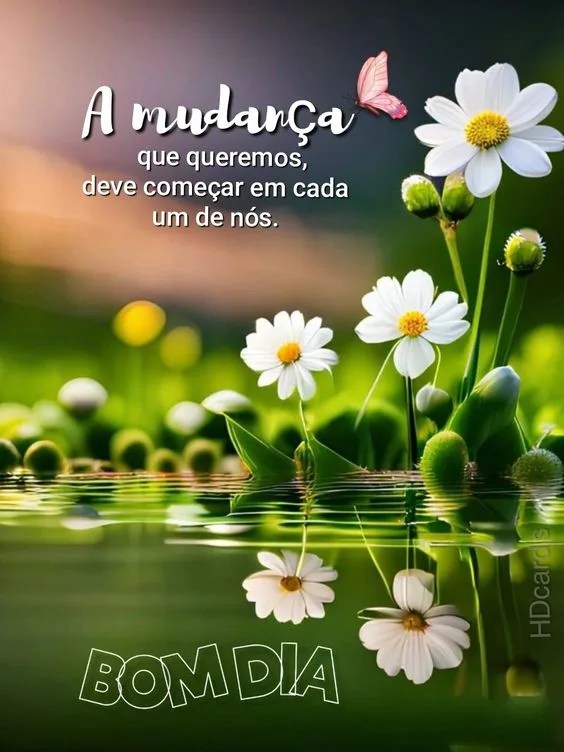 Bom dia com flores na água