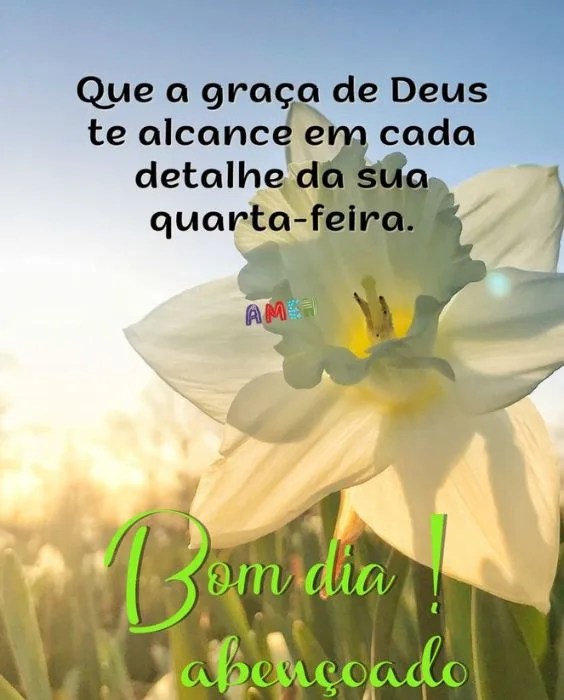 Bom dia abençoado de quarta-feira