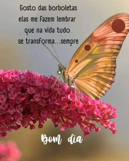 Bom dia com borboletas