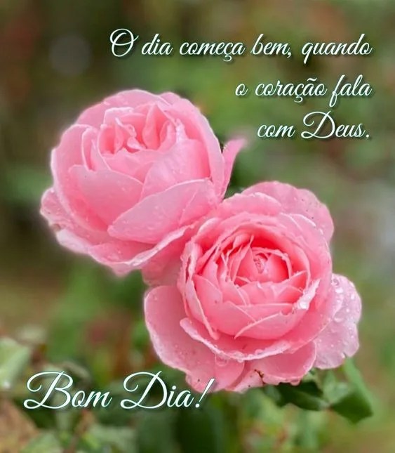 Bom dia com rosas
