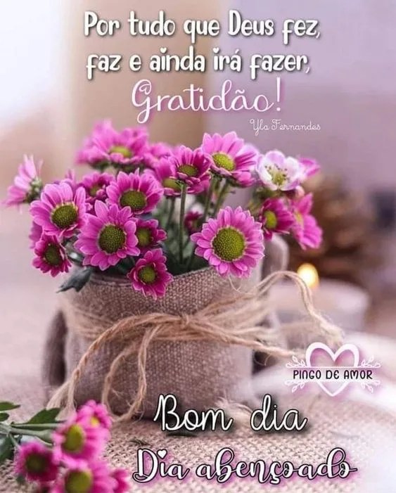 Bom dia abençoado gratidão