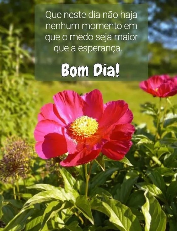 Bom dia com esperança