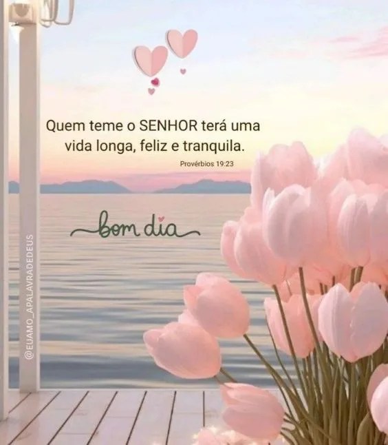 Bom dia com Provérbios e flores