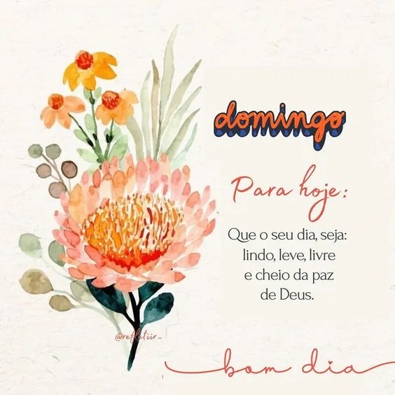 Domingo cheio da paz de Deus