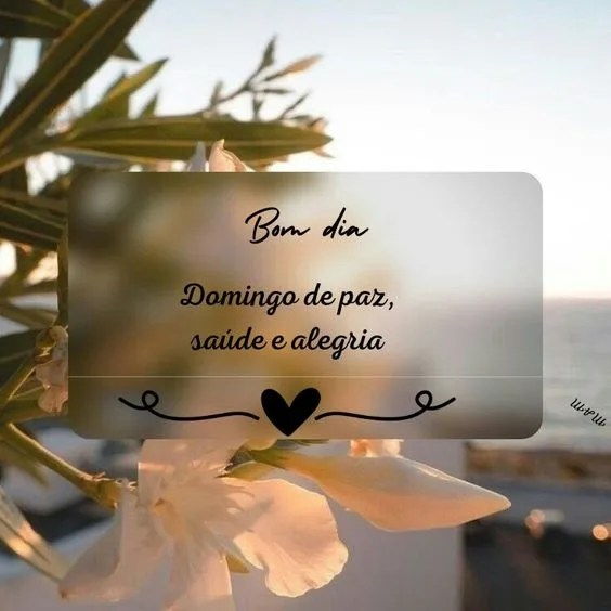 Bom dia Domingo de paz