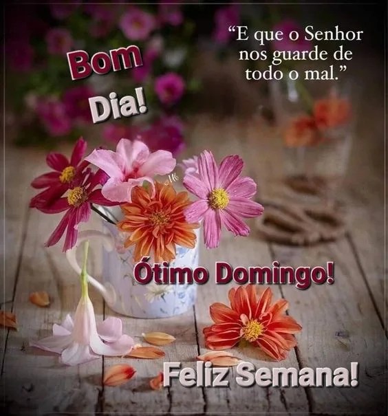 Bom dia ótimo Domingo