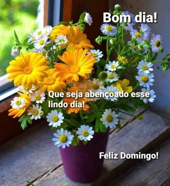 Seja abençoado esse lindo dia