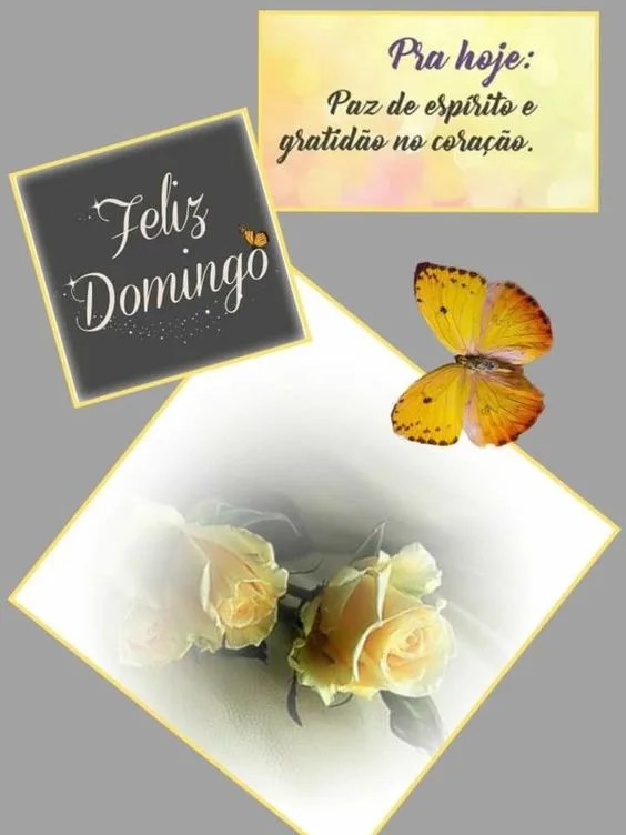 Pra hoje feliz domingo