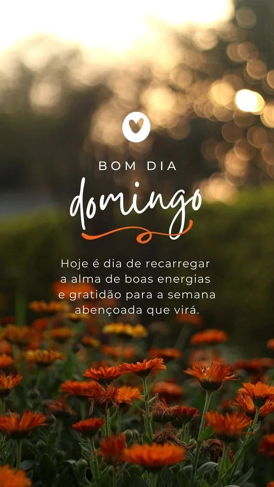 Bom dia domingo de boas energias