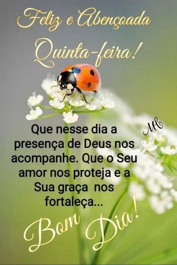 Feliz e abençoada quinta-feira