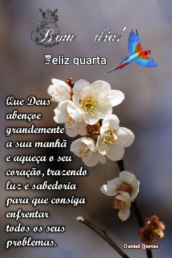 Feliz Quarta luz e sabedoria