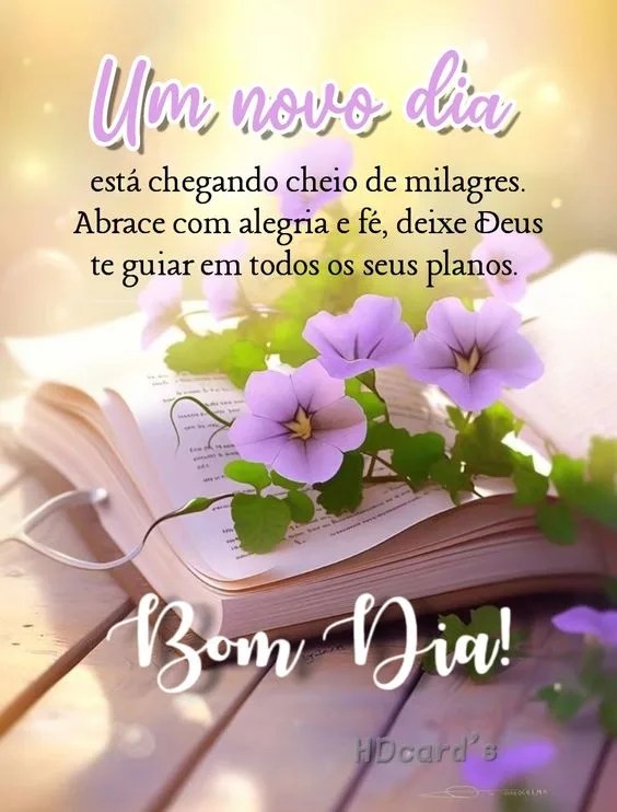 Bom dia novo dia