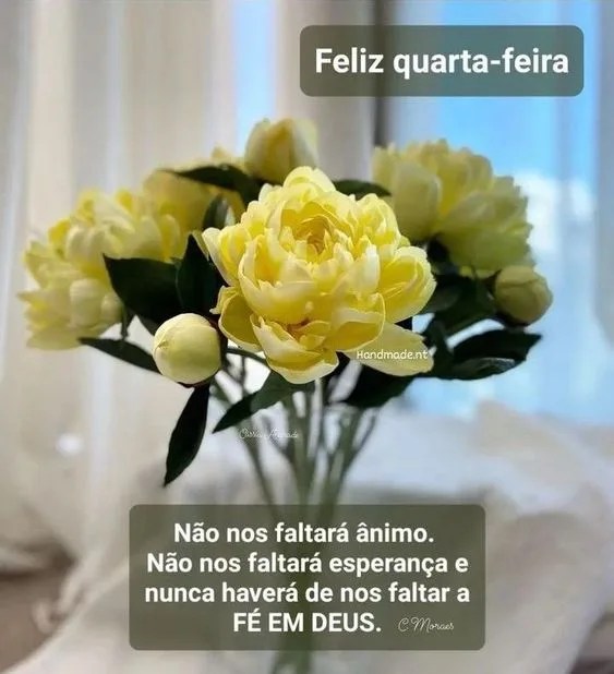 Feliz quarta-feira com flores