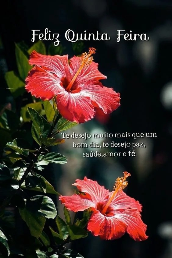 Bom dia te desejo paz