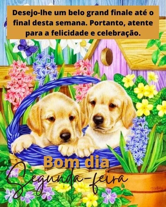 Um belo grand finale