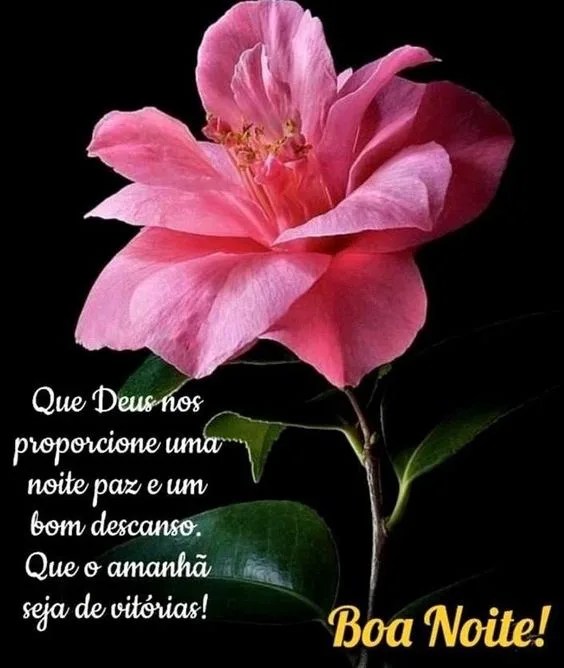 Deus proporcione noite de paz