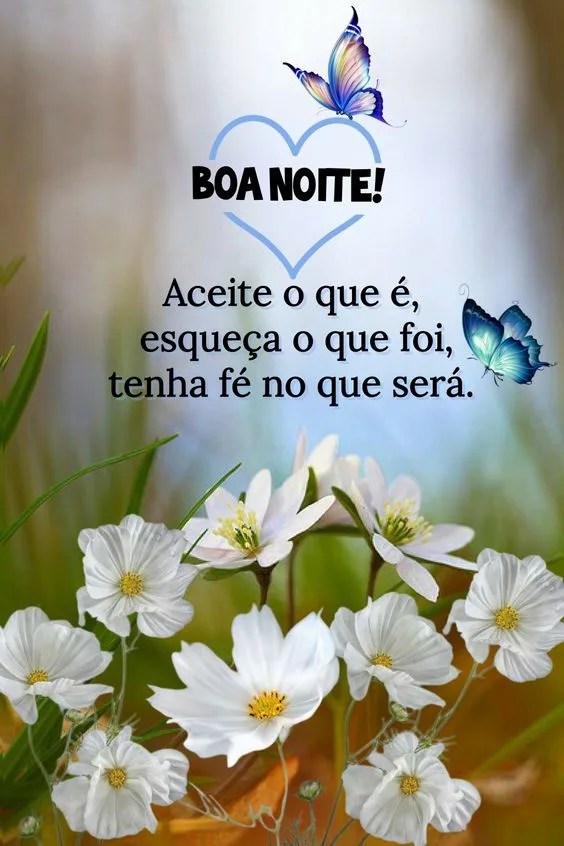 Boa noite tenha fé