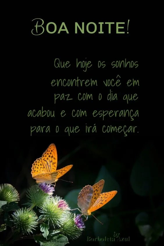 Hoje os sonhos encontrem você