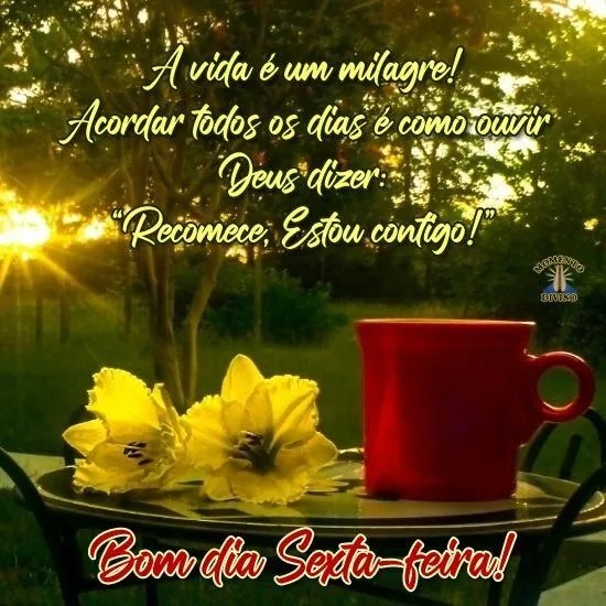 A vida é um milagre