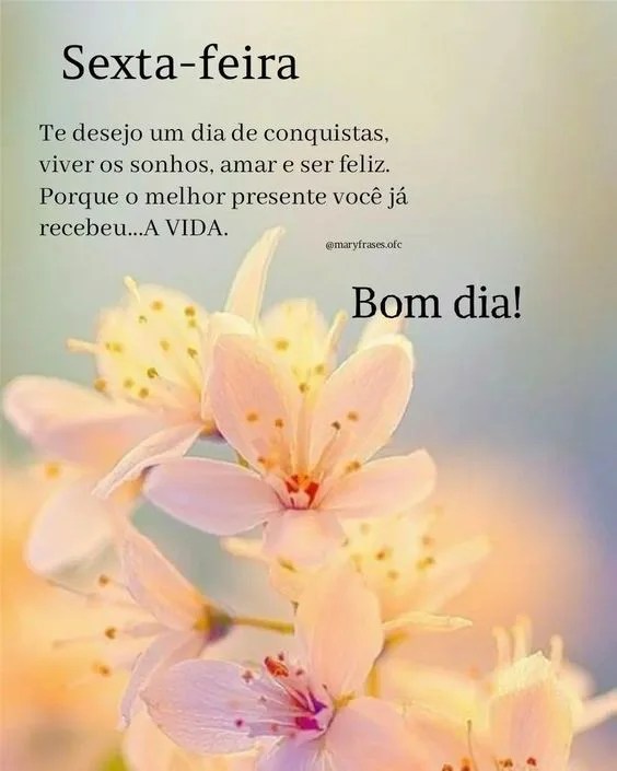 Sexta-feira te desejo bom dia