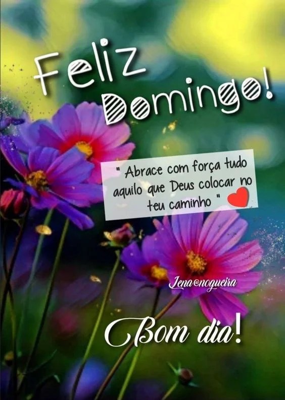 Feliz Domingo com flores