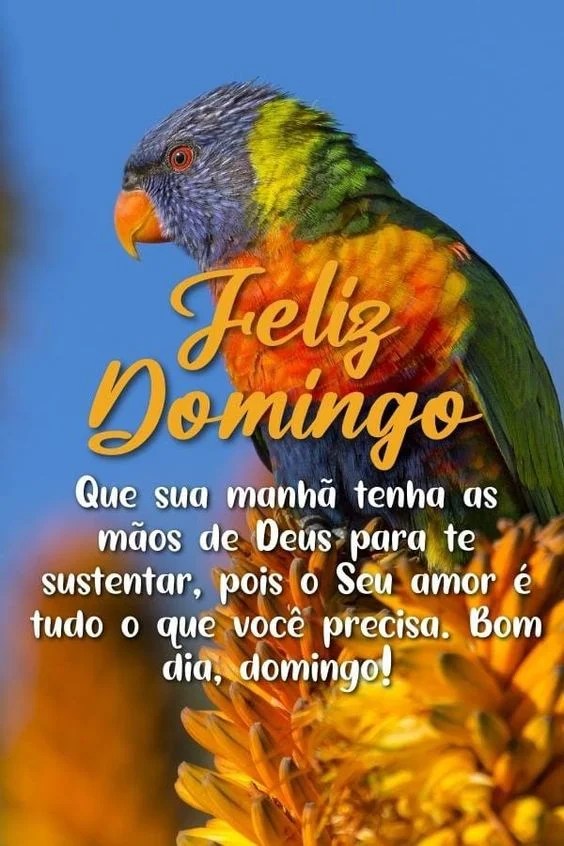 Feliz domingo de Deus