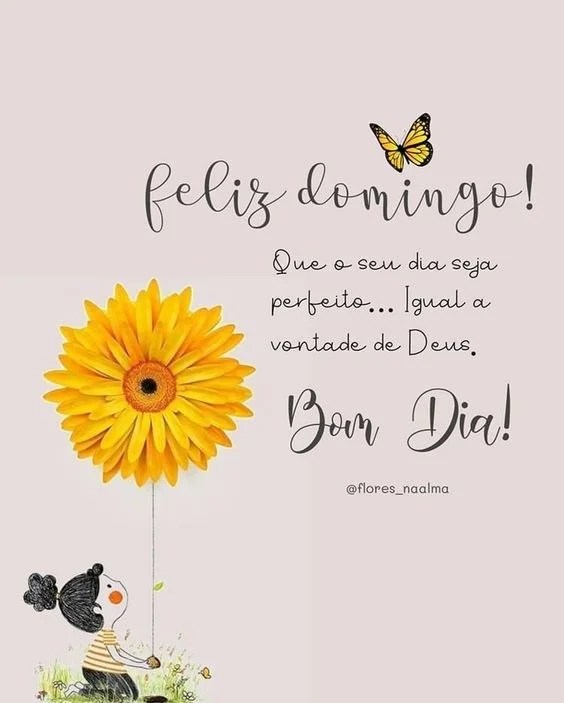 Feliz Domingo perfeito