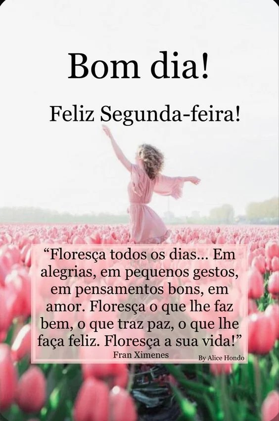 Feliz Segunda-feira com flores