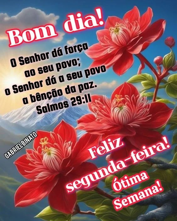 Feliz Segunda-feira ótima semana