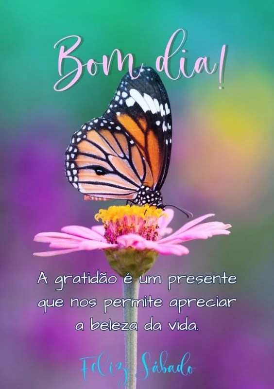 Gratidão feliz sábado