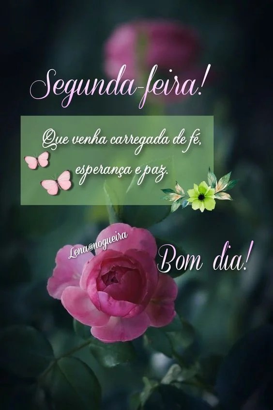 Segunda-feira de esperança e paz