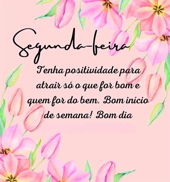 Bom inicio de semana bom dia