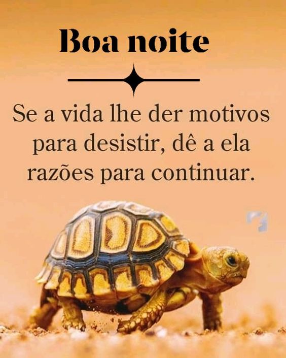 Razões para continuar