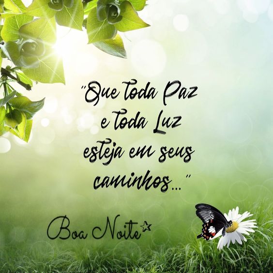 Boa noite paz e luz