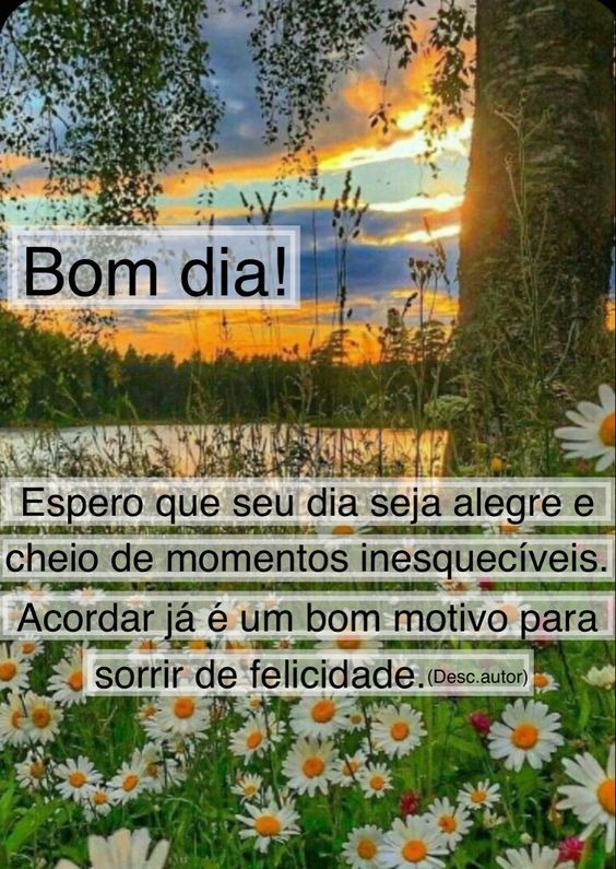 Bom dia positivo e alegre