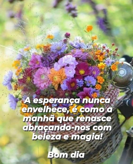 Bom dia positivo de magia