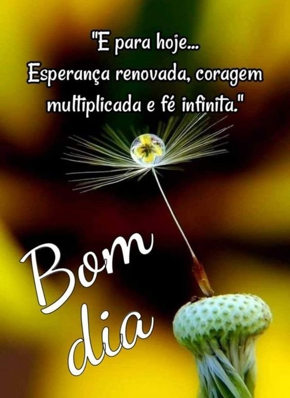 Bom dia de esperança renovada