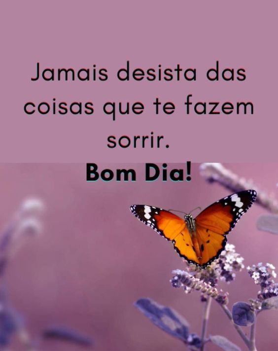 Bom dia jamais desista