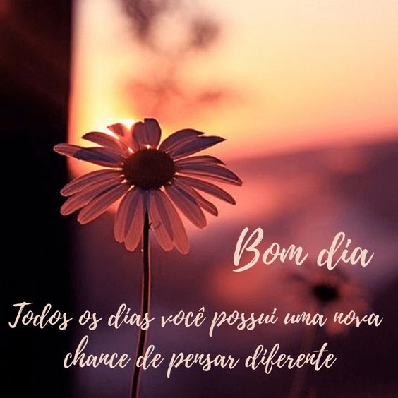 Frases curtas de bom dia nova chance