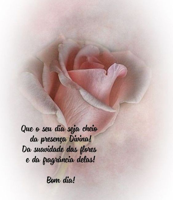 Frases curtas de bom dia com flor