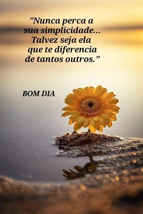 Nunca perca a simplicidade