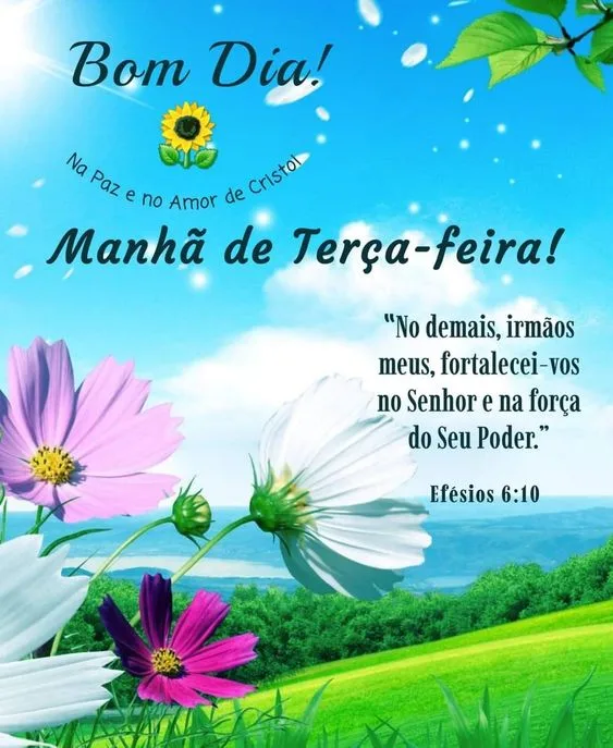 76 Bom Dia Terça Feira Abençoada Mensagens