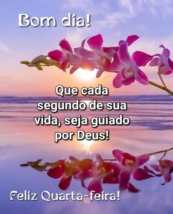 Bom dia, feliz quarta-feira! 68 Imagens com frases abençoadas