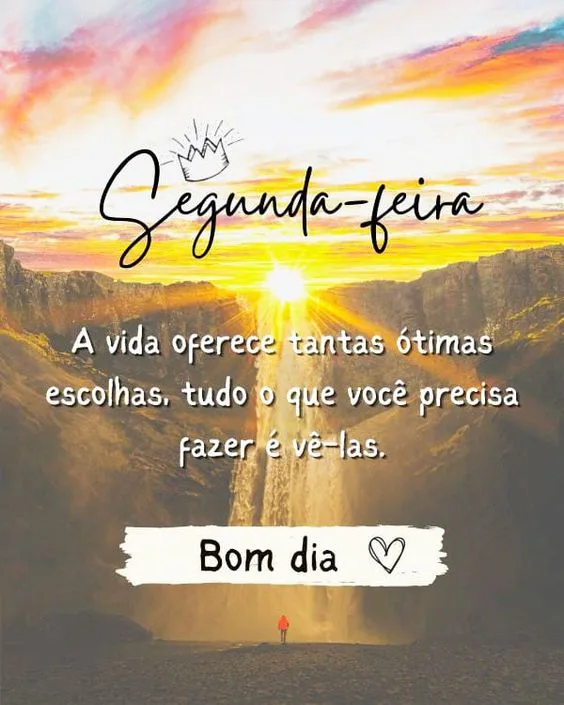 60 Frases de Bom dia Segunda-feira Abençoada com lindas Flores