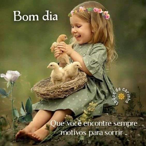 41 Imagens de Bom dia para Facebook e Grupos com Frases fofas